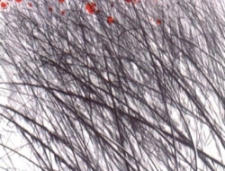 e-penovac-slika1