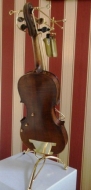 Violina lampa