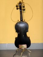 Violina lampa